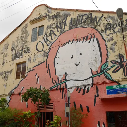 The Orangutan House