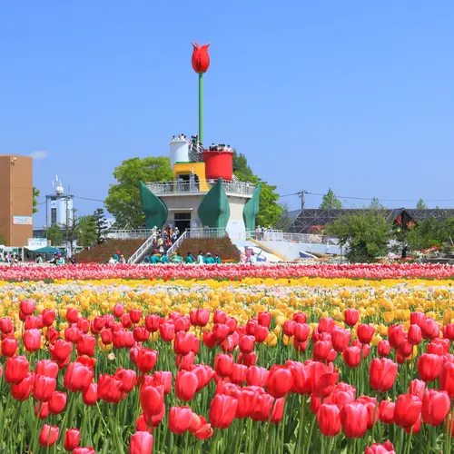 砺波チューリップ公園