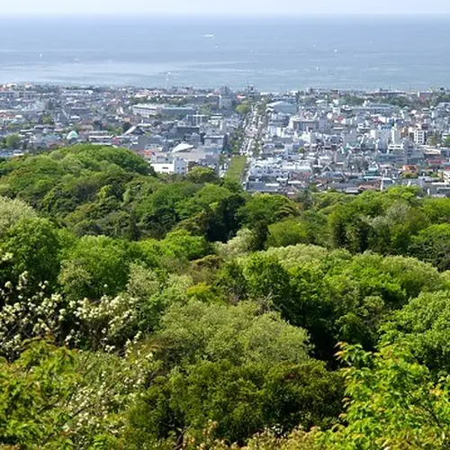 天園ハイキングコース