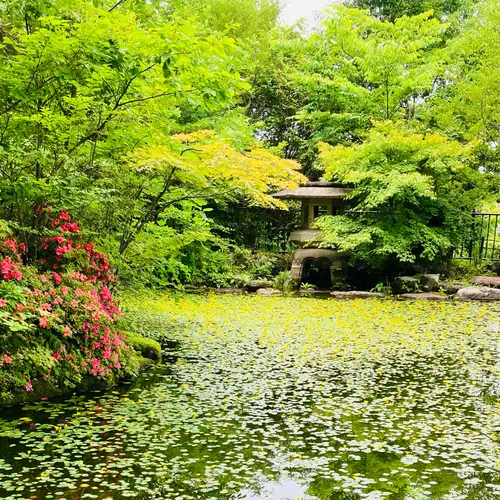 石段アルウィン公園