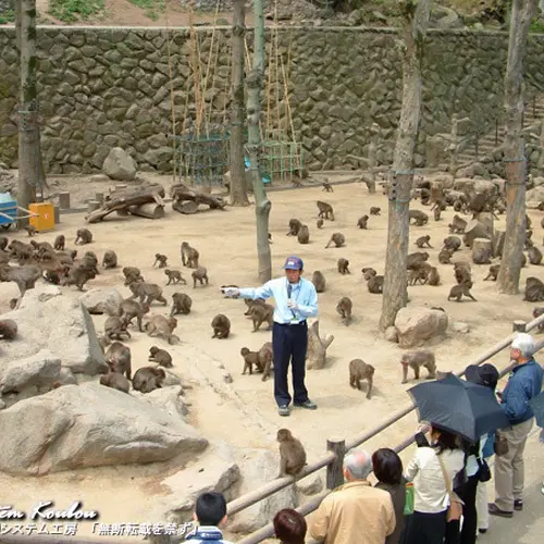 高崎山自然動物園