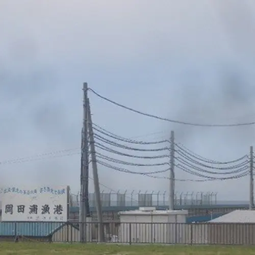 岡田浦漁港