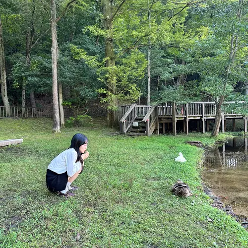 宝ヶ池公園