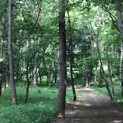 泉自然公園
