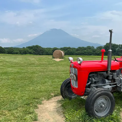 高橋牧場ニセコミルク工房