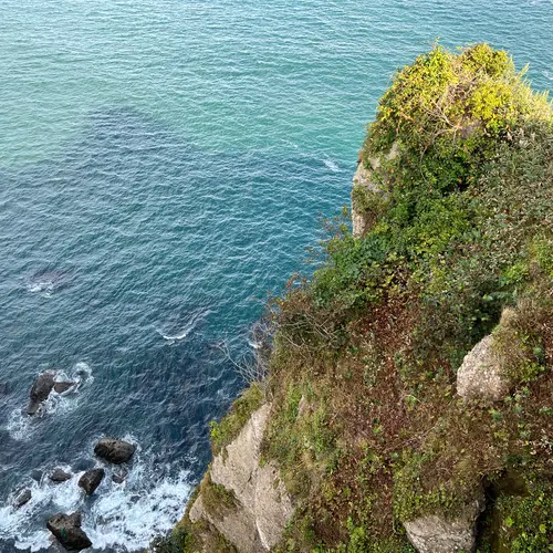 亀岩