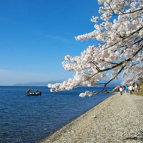海津大崎