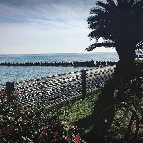 鎌倉海浜公園