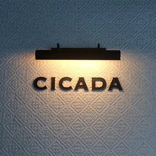 シカダ （CICADA）