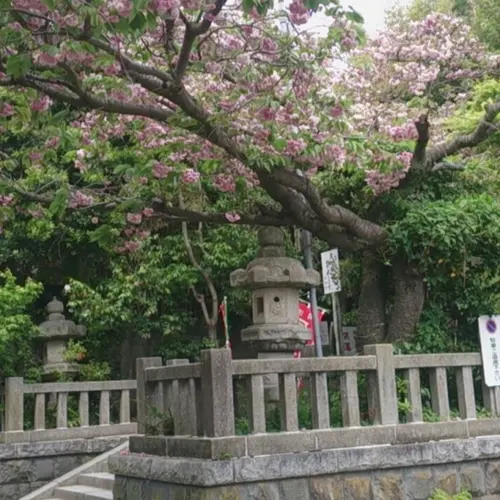 八雲神社