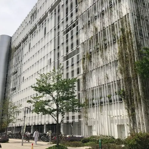 墨田区総合体育館