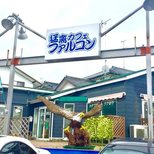 猛禽カフェ ファルコン