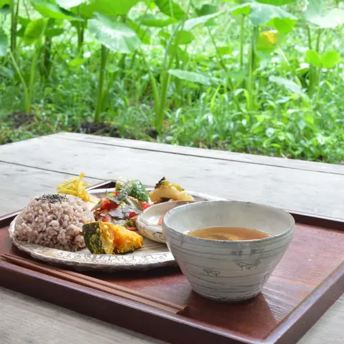 ライステラスカフェ
