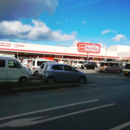 マックスバリュ宮古南店