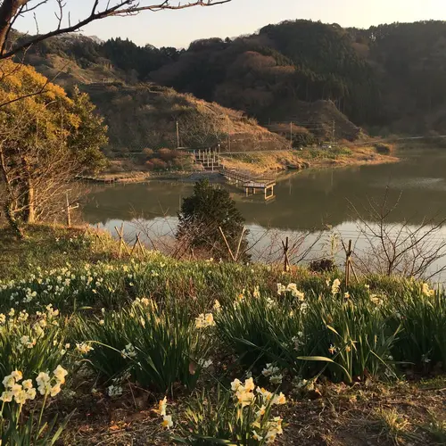 をくづれ水仙郷