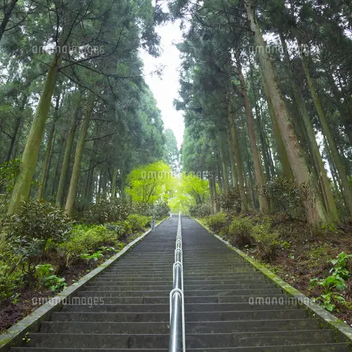 御坂遊歩道日本一石段