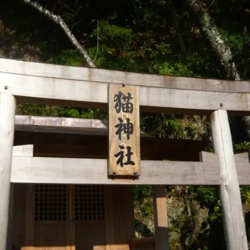 猫神社