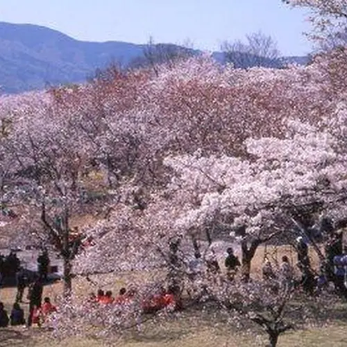 磯部桜川公園