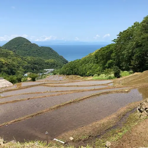 賀茂郡松崎町の観光におすすめ 人気 定番 穴場プランが10件 Holiday ホリデー