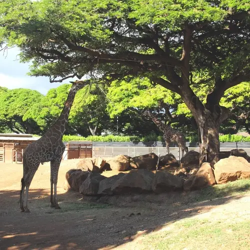 ホノルル動物園