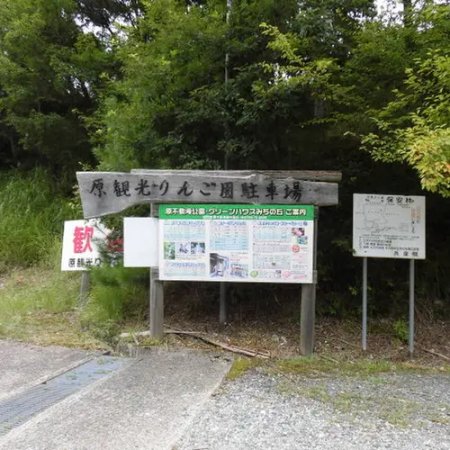 原観光りんご園