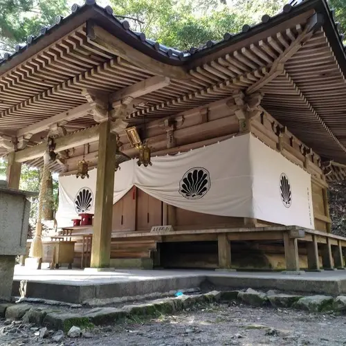 木の根道