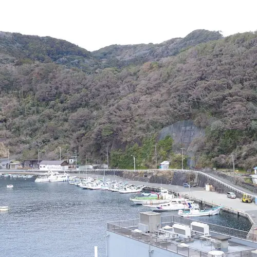 波浮港