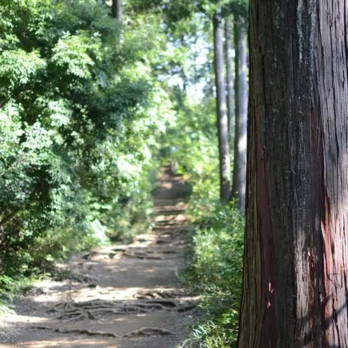 高尾山登山道 稲荷山コース