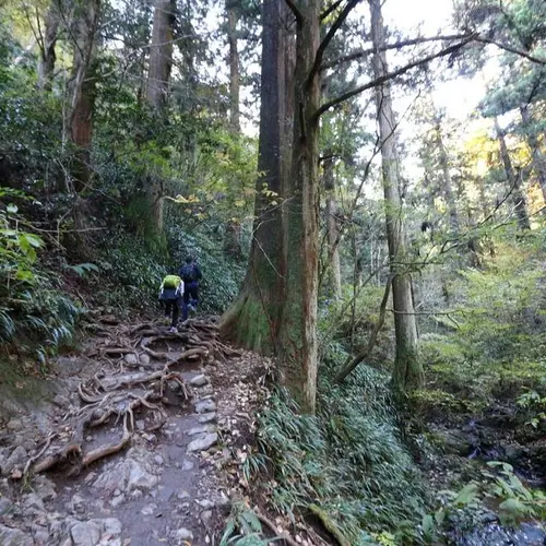 高尾山登山道 びわ滝コース