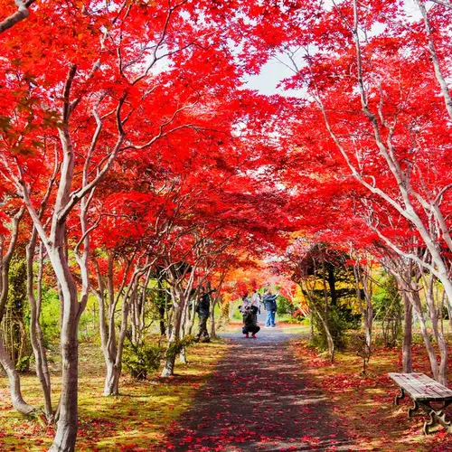 平岡樹芸センター