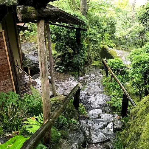白雲洞茶苑