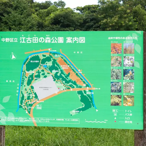 江古田の森公園