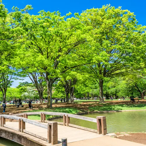 奥渋谷 代々木公園 代々木上原のデートに関するおでかけプランが81件 Holiday ホリデー