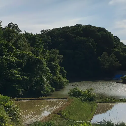 石川県森林公園 三国山キャンプ場