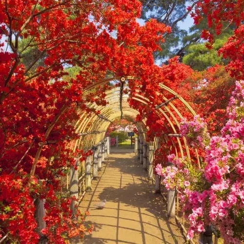 県立つつじが岡公園