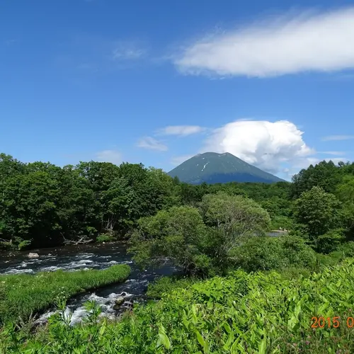 北海道ライオンアドベンチャー