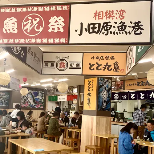 小田原漁港 とと丸食堂