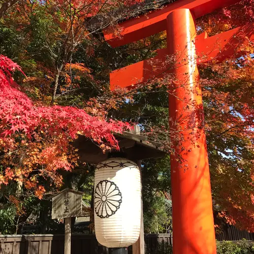 下鴨神社 銀閣寺 京都御苑の観光におすすめ 人気 定番 穴場プランが236件 Holiday ホリデー