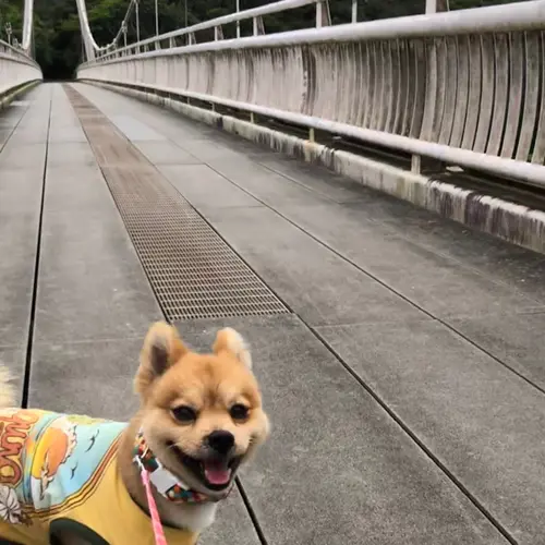 バンナ公園