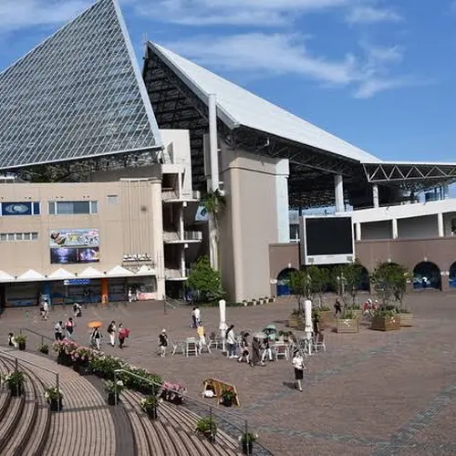 横浜 八景島シーパラダイス周辺エリアの観光におすすめ 人気 定番 穴場プランが19件 Holiday ホリデー