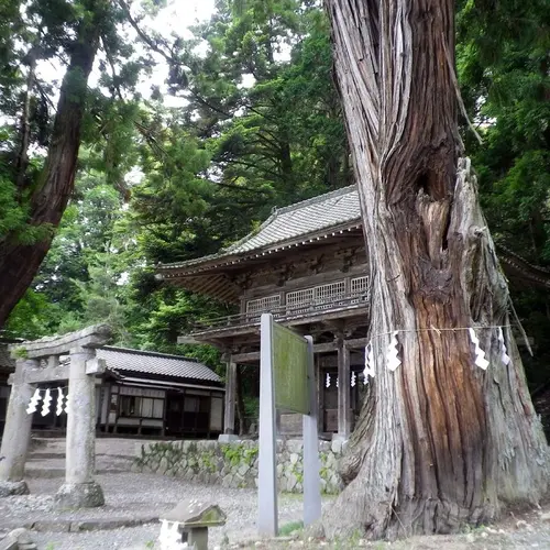 武田八幡神社