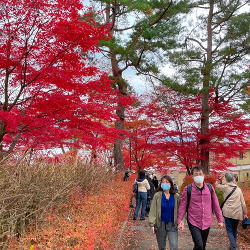 旭日丘湖畔緑地公園