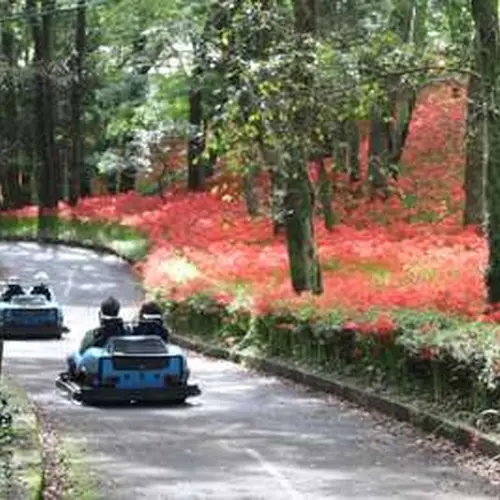 皇子原公園