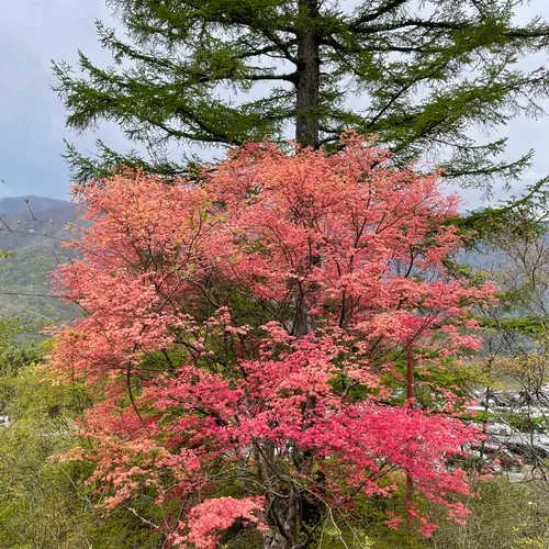 三峰神社 奥宮遥拝殿（見晴台）