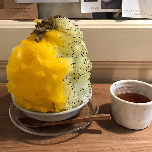 木と根