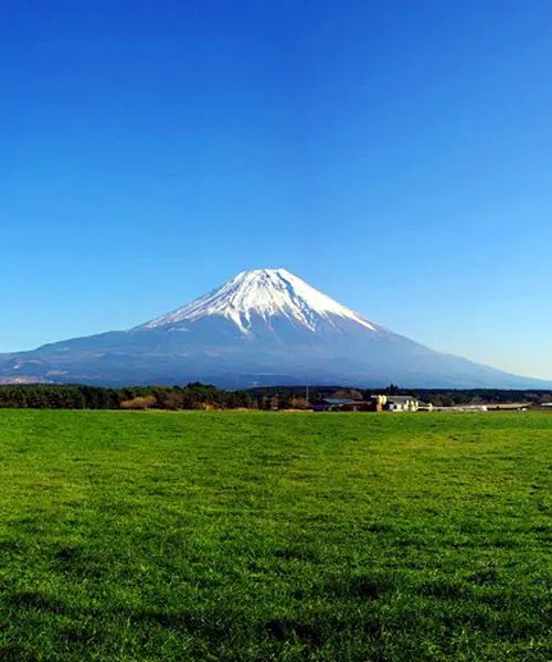 「パラグライダーがしたい！景色のいいところで！！」と彼女が言うので富士山に行ってみた。