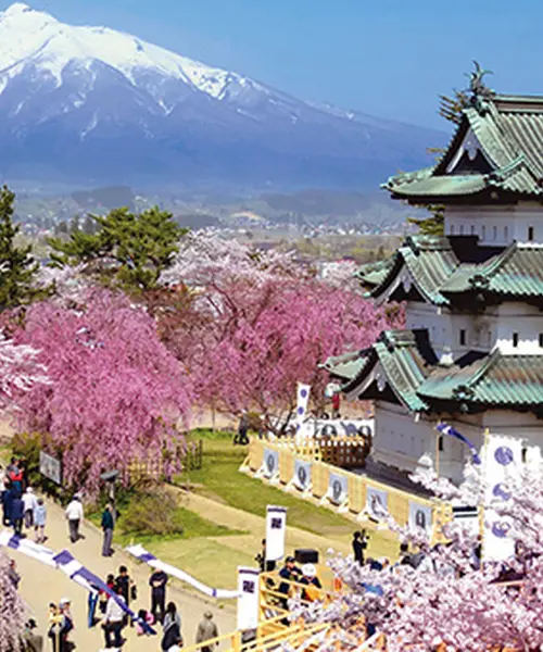 弘前城と桜と岩木山。春の青森旅行2023。