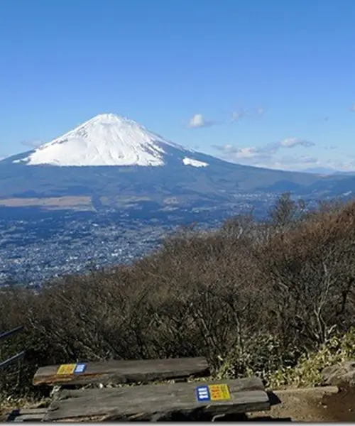 まさかりかついで富士山を眺めよう！金時山ハイキング
