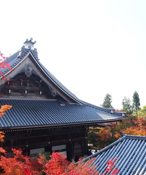 世界観光都市ランキング1位！秋の京都で本気で紅葉狩りしてみました！写真から感じてください♪