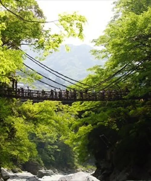秘境と呼ばれる山間の地を楽しむ。平家落人伝説の残る「祖谷のかずら橋」、断崖に立つ「小便小僧」。